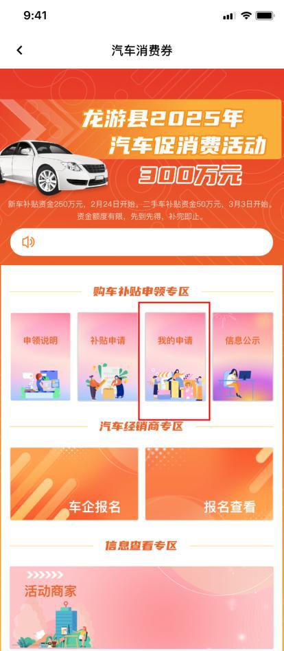2025年汽车消费补贴补贴力度堪比“双11”！(图9)