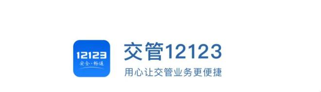买二手车不踩坑！教你一招如何查二手车的违章记录(图4)