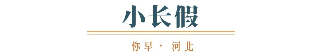你早河北｜河北北派斗龙舟＋海鲜粽“上新”；石家庄高温来了；豪华车市场“东升西落”；特朗普政府又对C919飞机下手了(图1)