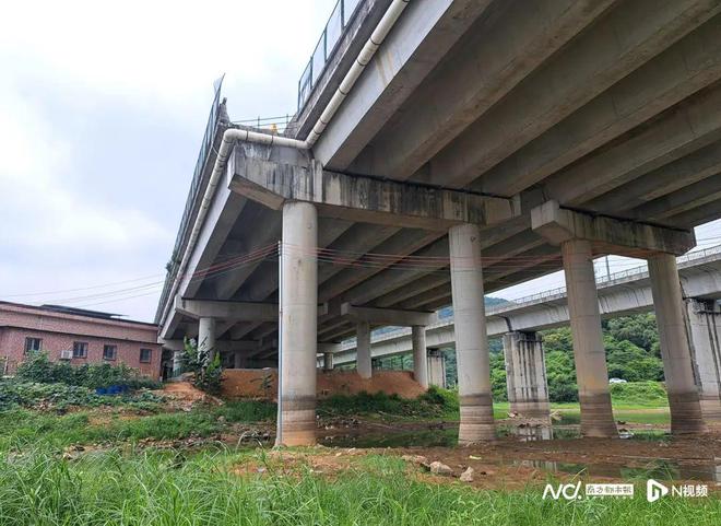 东莞一车坠桥致5死！官方最新回应：正对道路设计等进行调查(图1)